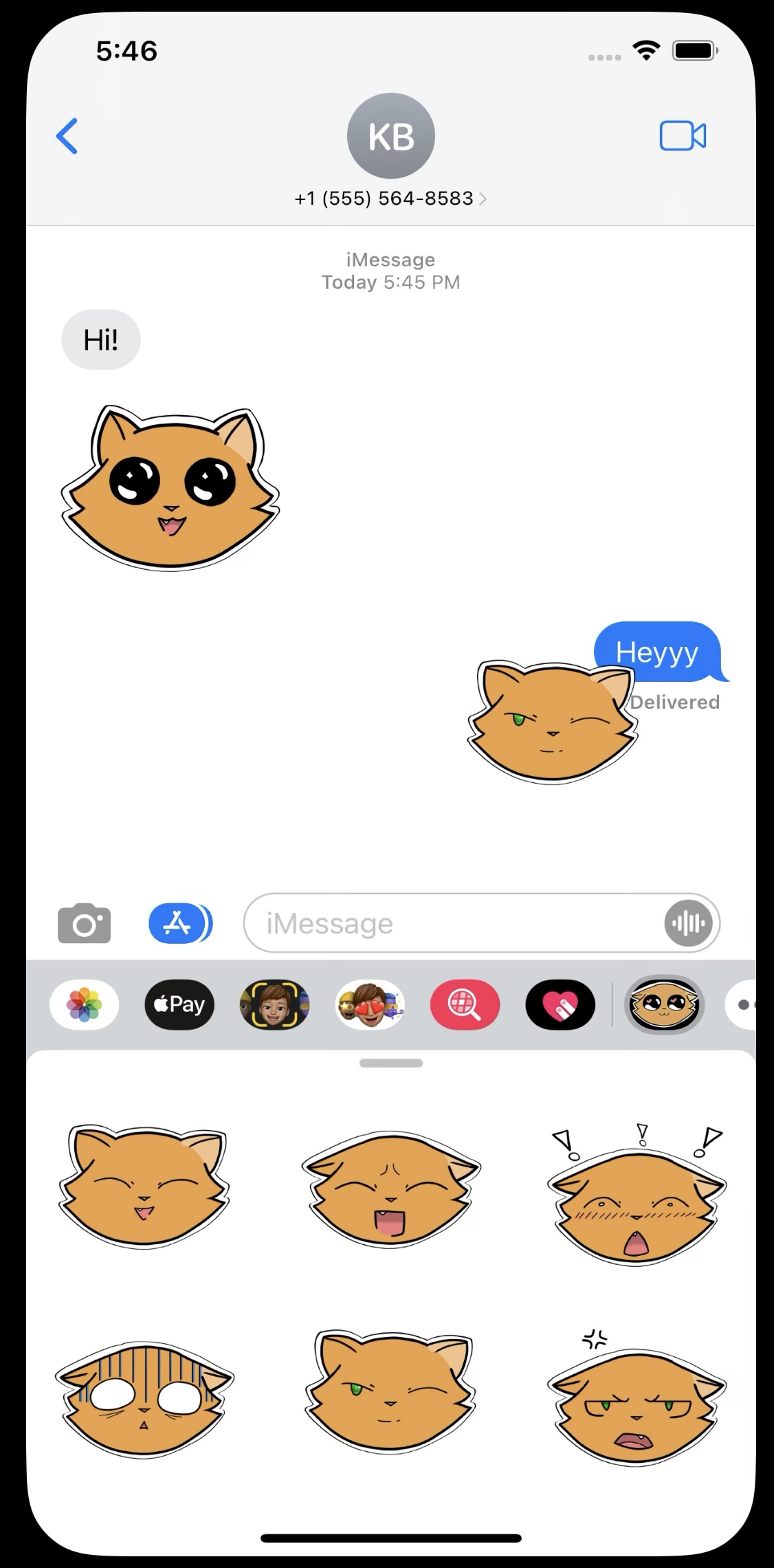 sandy the cat applestore screencap